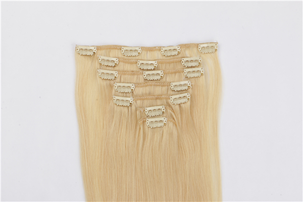 Natural Hair Clip in Extensions JF016